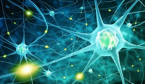 中芬咖楷惺生物 細胞治療——一個冉冉升起的未來醫學新支柱